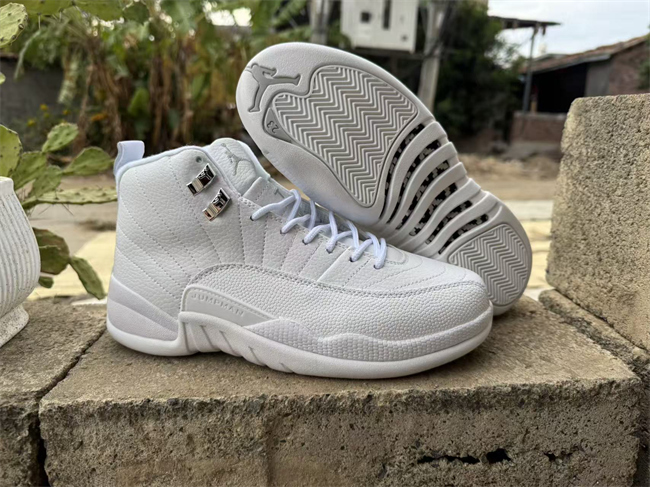 Women's Running weapon Air Jordan 12 Shoes 008